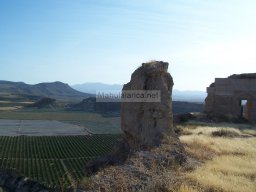 Castillo de Alcala 2009